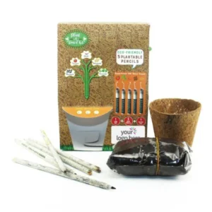 Eco-friendly plantable pencil activity kit