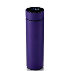 Smart LED Temperature Bottle
